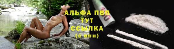 мдпв Переславль-Залесский