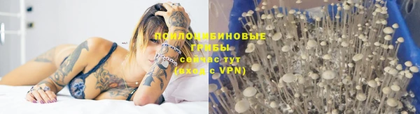 гидра Балахна