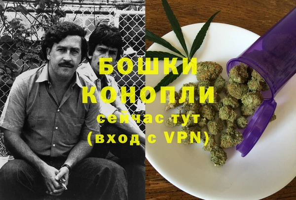 гидра Балахна